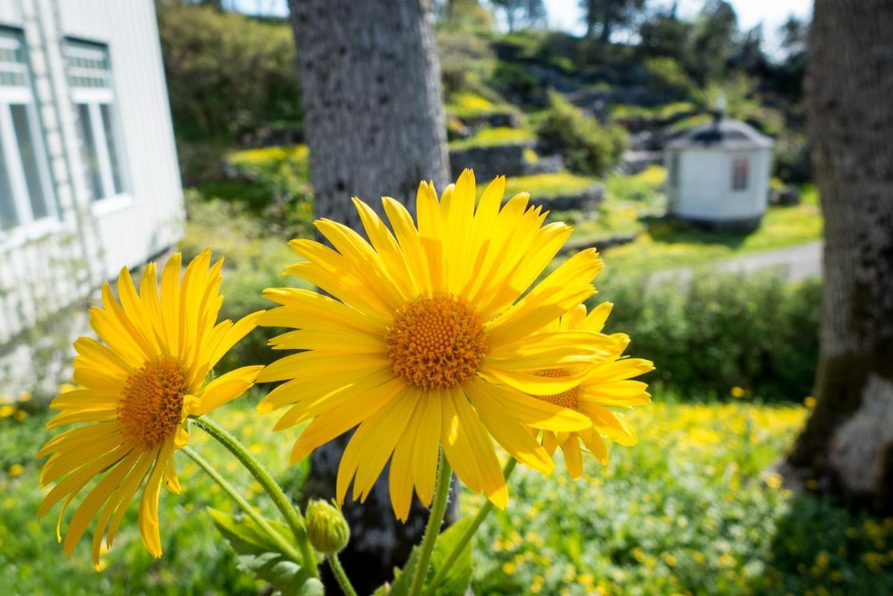 Lofoten Sommerhotell Og Vandrerhjem Kabelvåg Exteriér fotografie